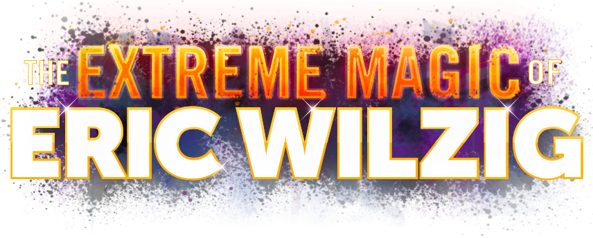 Eriz Wilzig Demo Logo